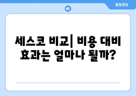 인천시 옹진군 덕적면 세스코 가격 및 비용 가이드 | 가정집 후기, 원룸 신청, 진단, 좀벌래 해결책 2024"