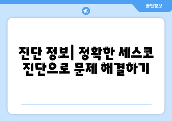 광주시 북구 두암2동의 세스코 가격 및 비용 안내 | 가정집 후기, 원룸 신청 방법, 좀벌래 해결책, 진단 정보 2024"