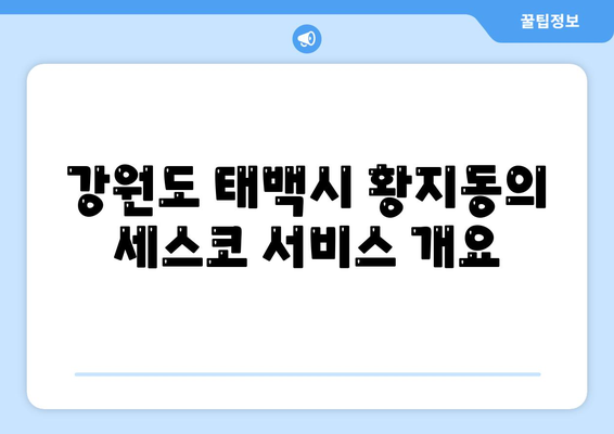 강원도 태백시 황지동 세스코 가격 및 가정집 후기 가이드 | 원룸, 신청, 진단, 좀벌래 해결책 2024