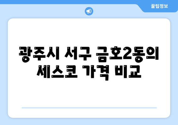 광주시 서구 금호2동 세스코 가격 및 비용, 가정집 후기 완벽 가이드 | 신청, 가입, 진단, 좀벌래 해결책 2024