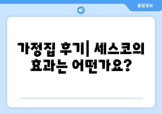 경기도 구리시 수택2동 세스코 가격과 가정집 후기 완벽 가이드 | 비용, 신청 방법, 좀벌래 해결책 2024