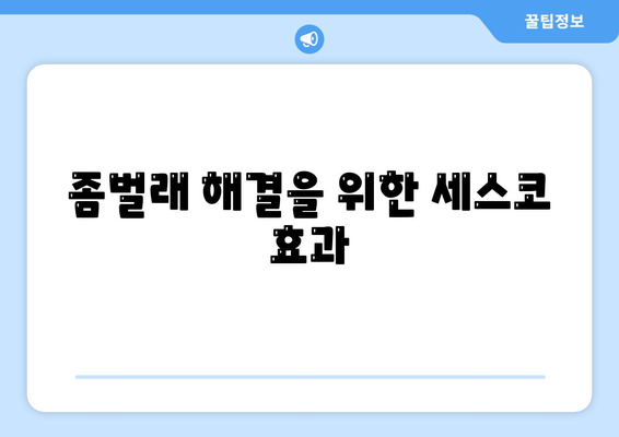 대구시 달서구 월성2동 세스코 가격은 얼마? | 비용, 가정집 후기, 원룸 신청 가이드 2024 | 좀벌래 해결 방법