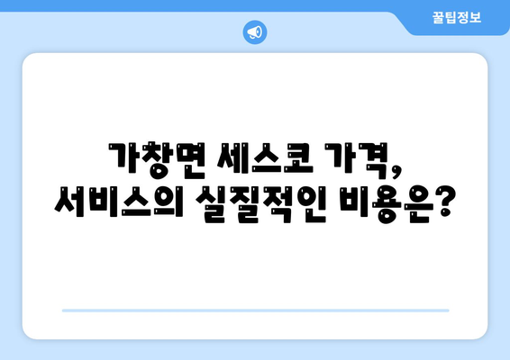 대구시 달성군 가창면 세스코 가격과 후기 | 비용, 가정집 신청, 원룸 진단 및 좀벌래 해결 방법 2024