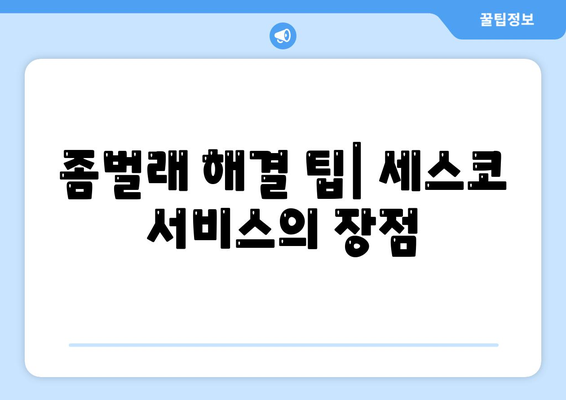 경상북도 문경시 호계면 세스코 비용 및 신청 방법 | 가정집 후기, 좀벌래 해결 팁, 2024 최신 정보