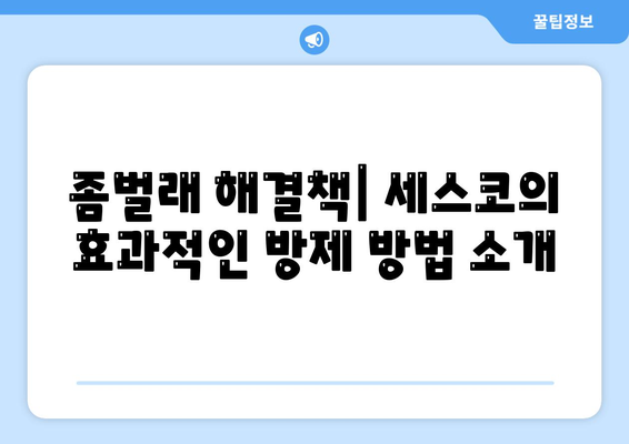 광주시 북구 두암2동의 세스코 가격 및 비용 안내 | 가정집 후기, 원룸 신청 방법, 좀벌래 해결책, 진단 정보 2024"