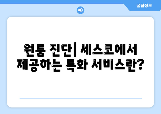 경기도 화성시 새솔동 세스코 가격 및 신청 방법 | 가정집 후기, 원룸 진단, 좀벌래 해결 팁 2024"