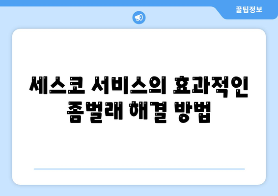 부산시 서구 초장동 세스코 가정집 후기 및 비용 안내 | 가격, 신청 방법, 좀벌래 해결책 2024