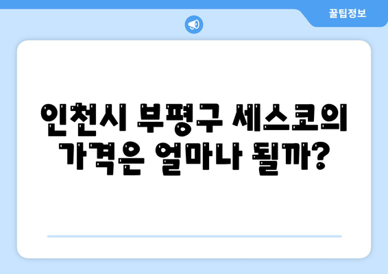 인천시 부평구 일신동 세스코 가격 비교 및 가정집 후기 | 비용, 신청 방법, 진단 서비스, 좀벌레 해결 팁 2024"