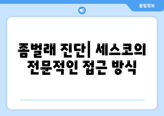 제주도 서귀포시 표선면 세스코 가격 및 비용 가이드 | 가정집 후기, 원룸 신청, 좀벌래 진단 2024