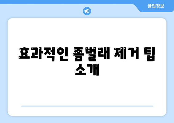 제주도 제주시 아라동 세스코 가격 및 가정집 후기 총정리 | 비용, 신청 방법, 진단 후기, 좀벌래 제거 팁 2024