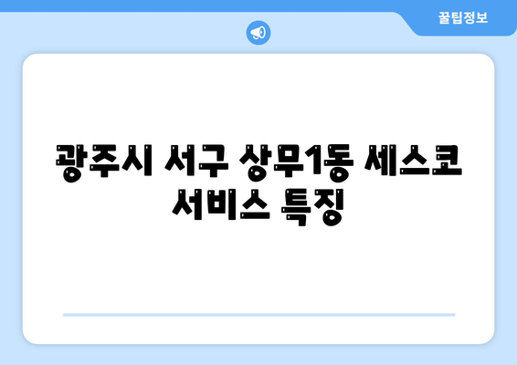 광주시 서구 상무1동 세스코 가격과 가정집 후기 | 비용, 신청 방법, 원룸 진단 및 좀벌래 해결책 2024"