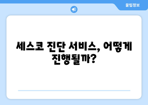 광주시 북구 두암1동 세스코 가격 및 서비스 후기 2024 | 비용, 가정집, 원룸, 진단, 좀벌래 해결 팁