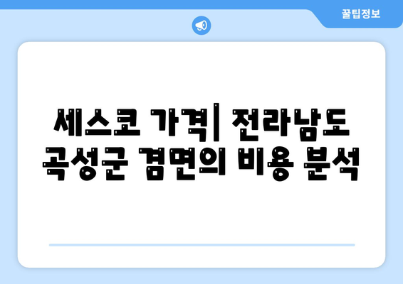 전라남도 곡성군 겸면 세스코 가격과 후기 총정리 | 비용, 가정집 신청 방법, 좀벌래 진단, 원룸 정보 2024