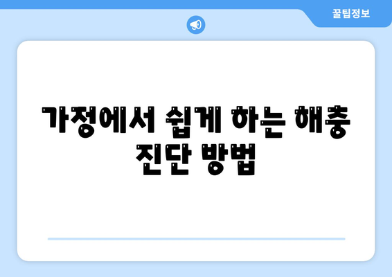 광주시 광산구 수완동 세스코 가격과 가정집 후기 완벽 가이드 | 원룸 신청, 진단, 예방 팁, 좀벌래 해결책 2024