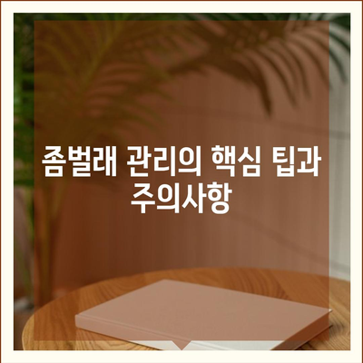 서울시 동대문구 휘경제1동 세스코 가격 및 서비스 안내 | 가정집 후기, 원룸 신청 방법, 효과적인 좀벌래 관리"