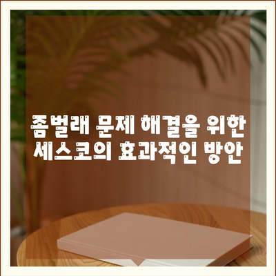 광주시 동구 학동 세스코 가격 및 서비스 안내 | 비용, 가정집 후기, 원룸 신청, 좀벌래 해결 방안 2024