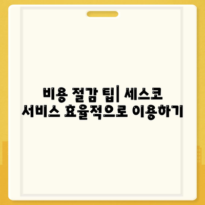 세종시 금남면 세스코 가격 및 가정집 후기 총정리 | 비용, 신청 방법, 효과적인 좀벌래 해결책 2024