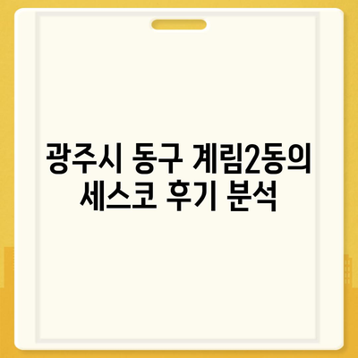 광주시 동구 계림2동 세스코 가격과 후기 2024 | 가정을 위한 비용, 신고, 좀벌래 해결 팁"