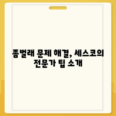 경기도 화성시 새솔동 세스코 가격 및 신청 방법 | 가정집 후기, 원룸 진단, 좀벌래 해결 팁 2024"