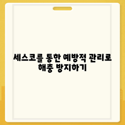 대전시 유성구 구성동 세스코 가격과 비용 안내 | 가정집 후기, 원룸 신청 및 진단 팁, 좀벌래 해소 방법 2024