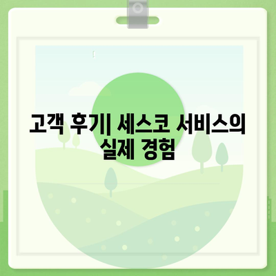 대전시 유성구 장대동 세스코 가격 및 서비스 신청 가이드 | 비용, 후기, 좀벌래 해결책 2024