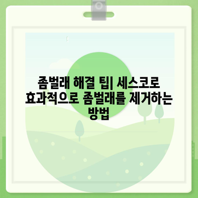 경상남도 의령군 대의면 세스코 가격 및 서비스 안내 | 비용, 후기, 신청 방법, 좀벌래 해결 팁 2024