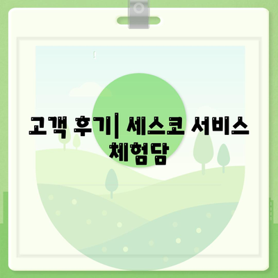 세스코 동해시 송정동 서비스 비용 및 후기 완벽 가이드 | 가정집, 원룸 신속 신청 방법, 좀벌래 해결책 2024