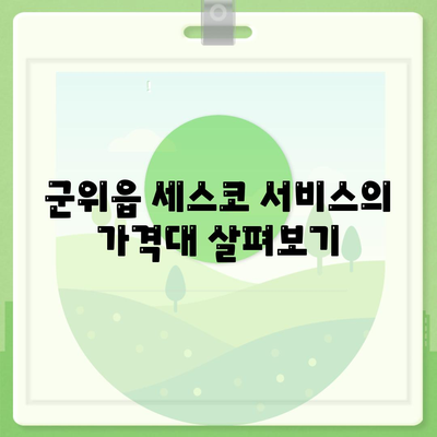 경상북도 군위군 군위읍 세스코 가격 및 비용 | 가정집 후기와 원룸 신청 방법, 좀벌래 진단 팁 2024"