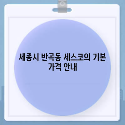 세종시 반곡동 세스코 가격 및 서비스 안내 | 가정집 후기, 원룸 신청, 좀벌래 해결 방법, 2024