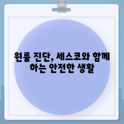 경기도 김포시 대곶면 세스코 가격과 가입 방법 | 가정집 후기, 원룸 진단, 좀벌래 해결책 2024"