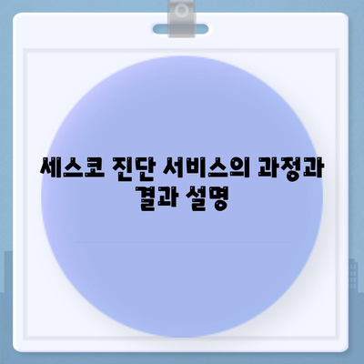 전라남도 목포시 산정동 세스코 시설 비용과 가정집 후기 | 세스코, 가격, 신청, 진단, 좀벌래 해결책 2024