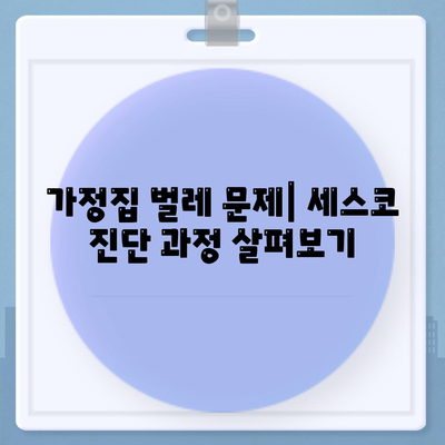 강원도 고성군 토성면 세스코 서비스 가격 및 후기를 통한 가정집 벌레 문제 해결 가이드 | 비용, 신청, 진단, 원룸 후기 2024