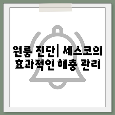 충청북도 청주시 청원구 오근장동 세스코 가격 및 가입 방법 가이드 | 가정집 후기, 원룸 진단, 좀벌래 해결책 2024