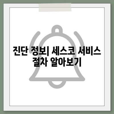 서울시 동작구 신대방제1동 세스코 가격과 비용 안내 | 가정집 및 원룸 후기 | 신청 방법과 진단 정보 2024