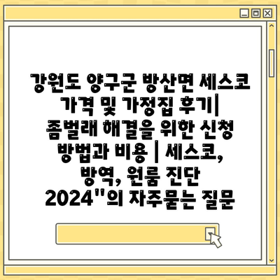 강원도 양구군 방산면 세스코 가격 및 가정집 후기| 좀벌래 해결을 위한 신청 방법과 비용 | 세스코, 방역, 원룸 진단 2024"