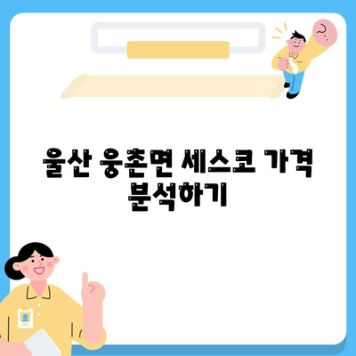 울산시 울주군 웅촌면 세스코 가격 및 비용 가이드 | 가정집 후기, 원룸 신청 방법, 집 내부 진단, 좀벌래 해결책 2024"