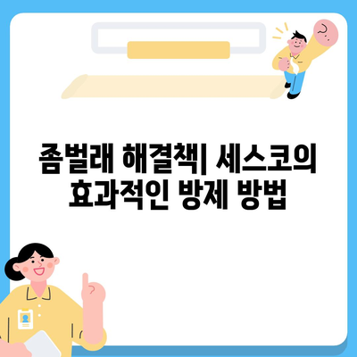 충청남도 서산시 연무읍 세스코 가격 및 비용 검토 | 가정집 후기, 원룸 신청 방법, 좀벌래 해결책 2024