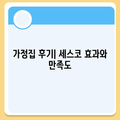 대전시 동구 용전동에서의 세스코 가격 및 후기 총정리 | 비용, 가정집 후기, 원룸 신청 방법, 좀벌래 진단 2024