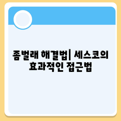 강원도 영월군 북면 세스코 가격과 가정집 후기 총정리 | 비용, 원룸 신청, 진단, 좀벌래 해결법 2024"