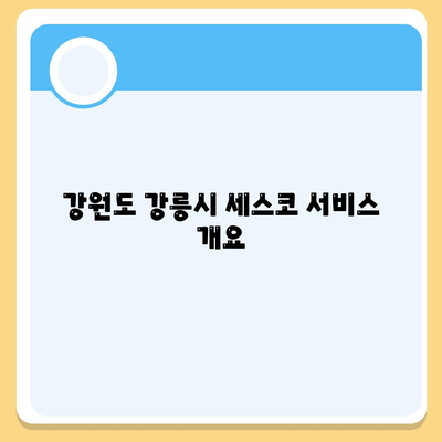 강원도 강릉시 구정면 세스코 가격과 서비스 | 가정집 후기, 원룸 진단 및 신청 방법 2024 | 비용, 좀벌래 해결책, 가입 안내