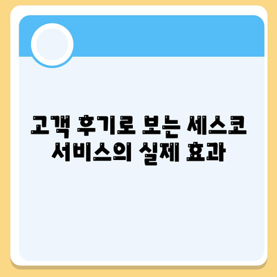 안성시 보개면 세스코 서비스 가격과 후기 | 비용, 가입 방법, 가정집 진단, 좀벌래 문제 해결 2024