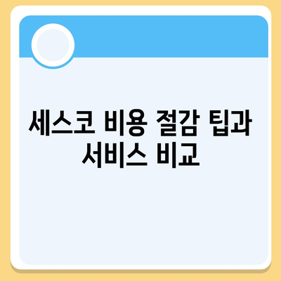 부산시 연제구 연산1동 세스코 가격과 비용 분석 | 가정집 후기, 원룸 신청 방법, 좀벌래 해결책 2024