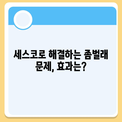 광주시 남구 대촌동 세스코 가격과 가정집 후기, 원룸 신청 방법 총정리 | 비용, 진단, 좀벌래 해결책, 2024