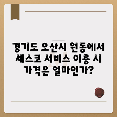 경기도 오산시 원동 세스코 가격과 서비스 후기 2024 | 가정집, 원룸, 신청 방법, 좀벌래 해결 비법