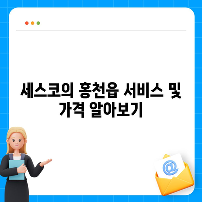 강원도 홍천군 홍천읍 세스코 가격 안내 | 비용, 가정집 후기, 원룸 신청 및 진단 방법 | 좀벌래 해결 2024