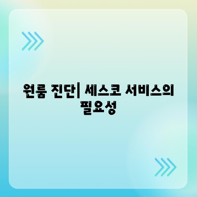 서초구 반포2동에서 세스코 비용 및 가정집 후기 | 가격, 신청 방법, 원룸 진단과 도움말 2024