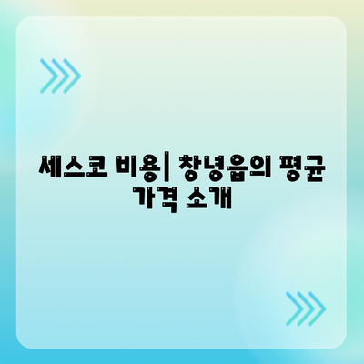 경상남도 창녕군 창녕읍 세스코 비용과 가정집 후기 | 가격, 원룸 진단, 신청 방법, 좀벌래 해결 팁 2024