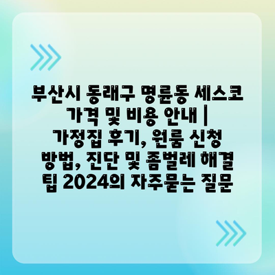 부산시 동래구 명륜동 세스코 가격 및 비용 안내 | 가정집 후기, 원룸 신청 방법, 진단 및 좀벌레 해결 팁 2024