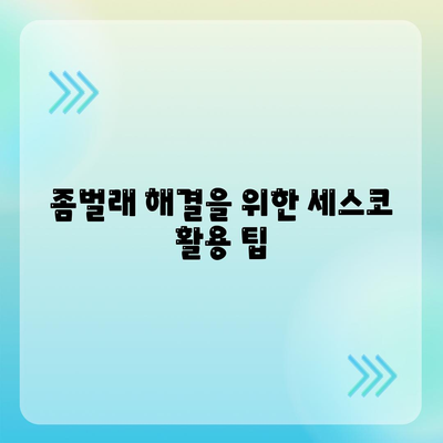 대전시 대덕구 법1동 세스코 가격 및 가정집 후기 총정리 | 비용, 신청 방법, 좀벌래 해결 노하우 2024