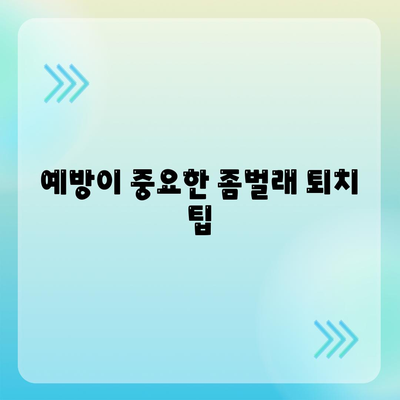 광주시 광산구 수완동 세스코 가격과 가정집 후기 완벽 가이드 | 원룸 신청, 진단, 예방 팁, 좀벌래 해결책 2024